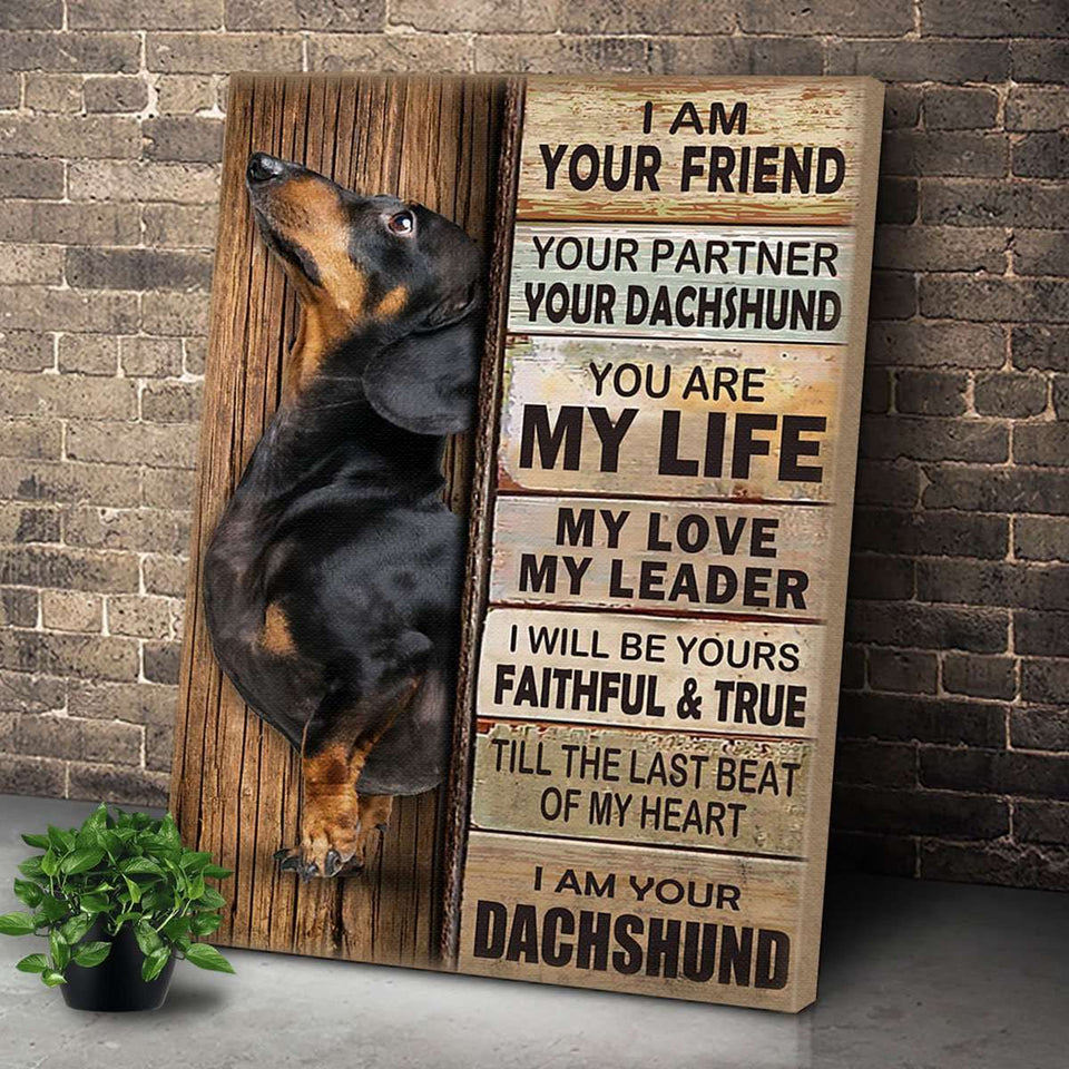Black Dachshund Dog Premium Wall Art Canvas, Dog Mom Gift, Dog Dad Gift, Pet Owner Gifts, Custom Dog Portrait Canvas