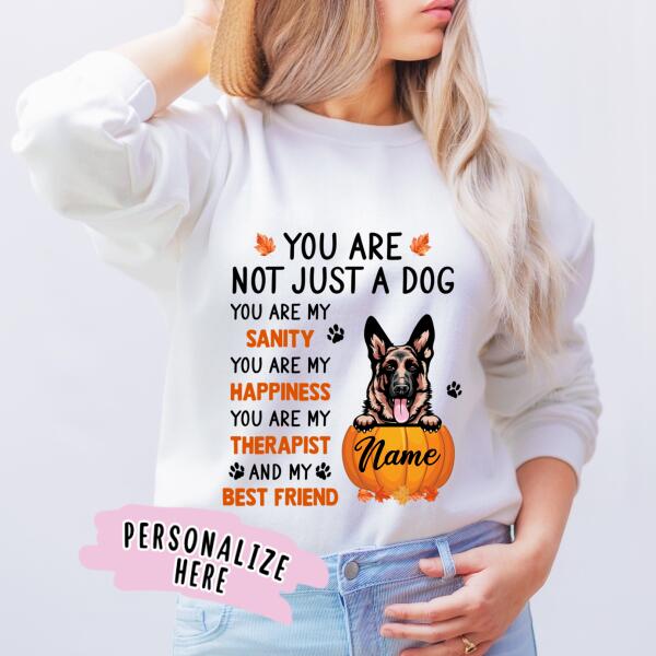 Personalized Fall Season Dog Premium Sweatshirt, Gift For Dog Lovers