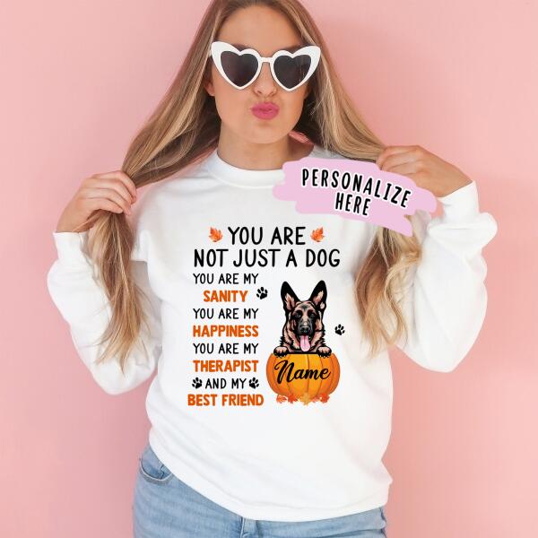 Personalized Fall Season Dog Premium Sweatshirt, Gift For Dog Lovers