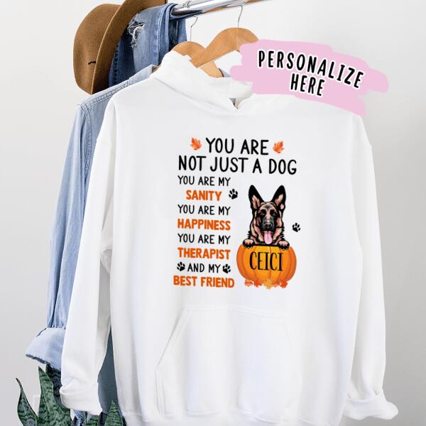 Personalized Fall Dog Hoodie, Dog Mom Hoodie, Gift For Dog Lovers