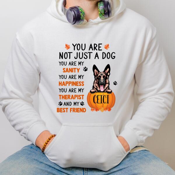 Personalized Fall Dog Hoodie, Dog Mom Hoodie, Gift For Dog Lovers