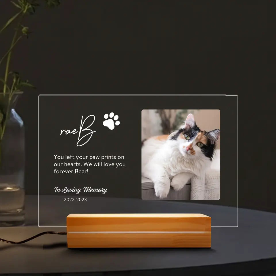 Pet Loss Gifts, Personalized Pet Memorial Acrylic Plaque LED Lamp Night Light