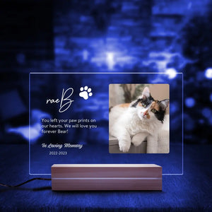 Pet Loss Gifts, Personalized Pet Memorial Acrylic Plaque LED Lamp Night Light