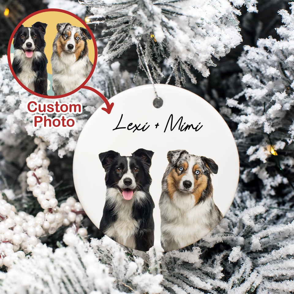Personalized Pets Painting Effect Ornament, Gifts For Pets Lovers, Pets Christmas Ornament
