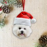 Custom Face Photo Acrylic Ornament - Funny Christmas Personalized Acrylic Ornament with Picture