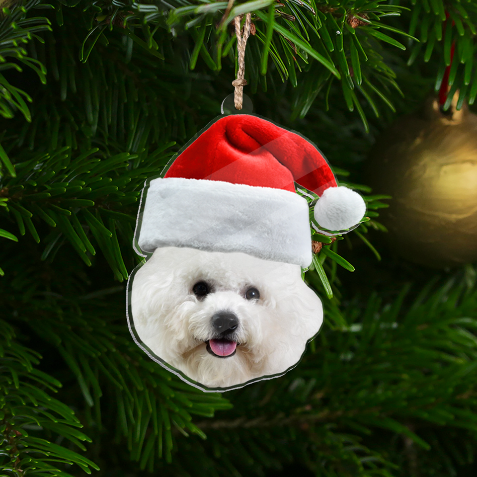 Custom Face Photo Acrylic Ornament - Funny Christmas Personalized Acrylic Ornament with Picture