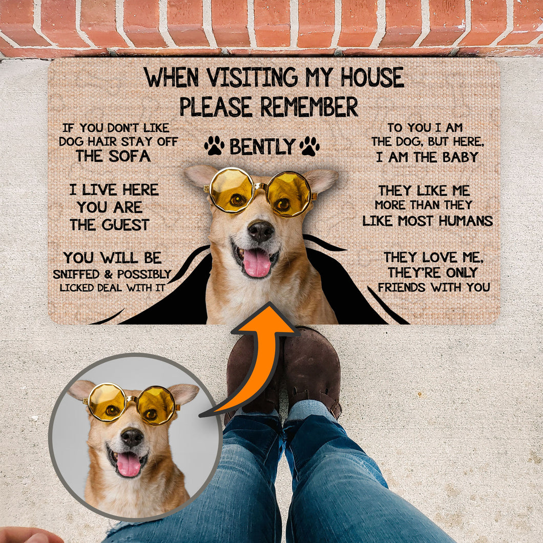Funny Dog Mat, Gift For Dog Lovers, Dog Owners Gift, Visit My House Funny Door Mat