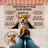 Funny Dog Mat, Gift For Dog Lovers, Dog Owners Gift, Visit My House Funny Door Mat