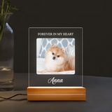 Custom Pet Memorial Passing Gift, Pet Loss Gift Personalized Acrylic Plaque LED Lamp Night Light