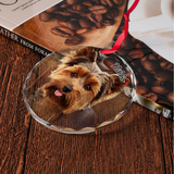 Personalized Watercolor Photo Pet Glass Ornament, Custom Pet Portrait Glass Ornament