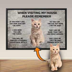 Funny Gift for Cat Lovers, Custom Cat Owners Gifts Canvas, When Visiting My House Please Remember, Cat Wall Art Decor
