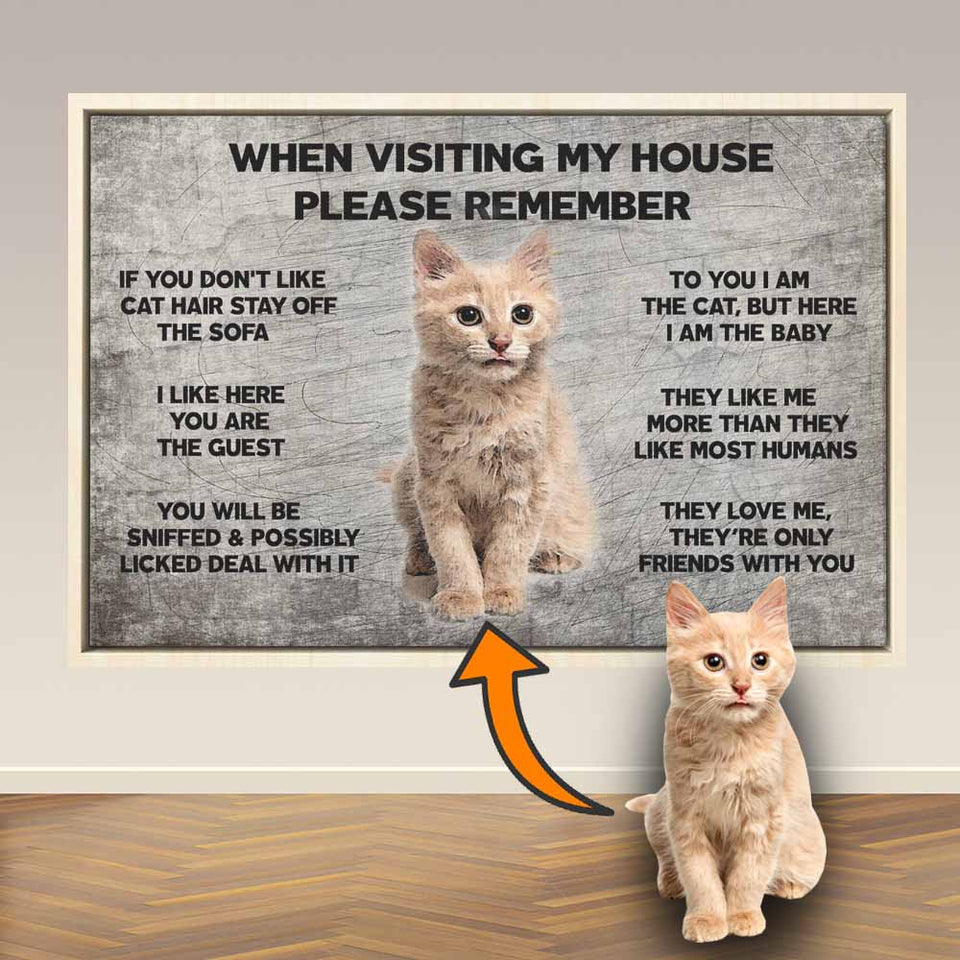 Funny Gift for Cat Lovers, Custom Cat Owners Gifts Canvas, When Visiting My House Please Remember, Cat Wall Art Decor