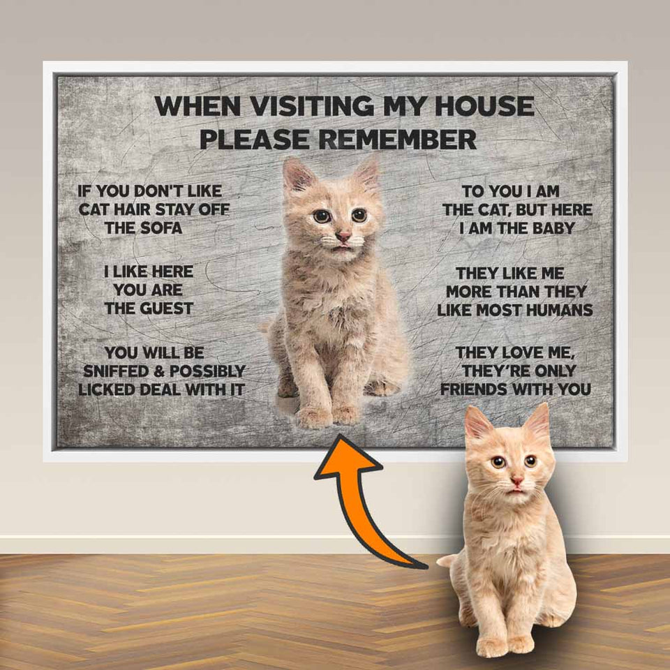 Funny Gift for Cat Lovers, Custom Cat Owners Gifts Canvas, When Visiting My House Please Remember, Cat Wall Art Decor