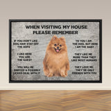 Funny Gift for Cat Lovers, Custom Cat Owners Gifts Canvas, When Visiting My House Please Remember, Cat Wall Art Decor