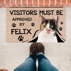 Funny Personalized Cat Doormat, Visitors Must Be Approved by Cat Door Mat, Custom Photo Cat Lover Gift, Cat Face Picture on Mat