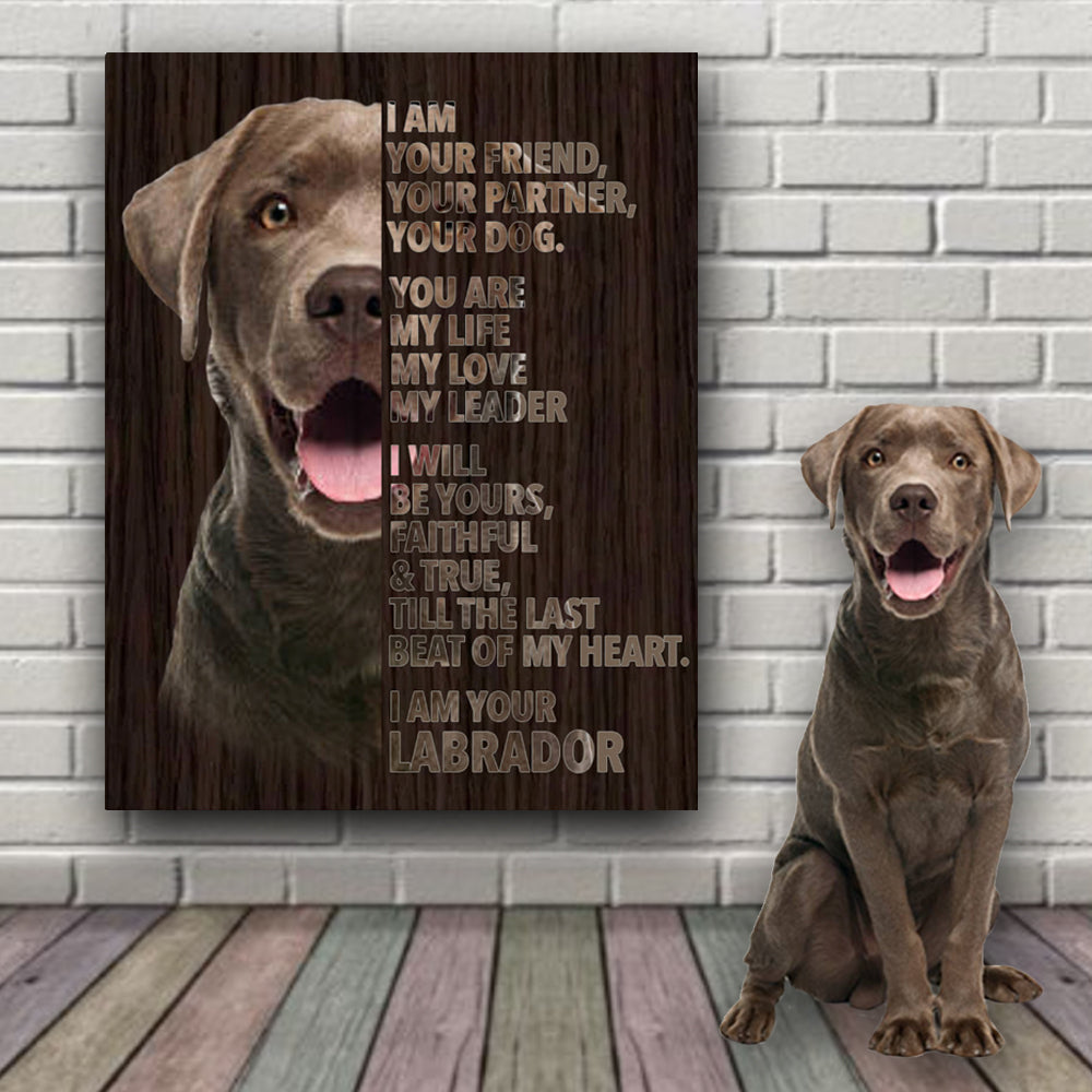 Custom Pet Gifts for Pets and Pet Owners