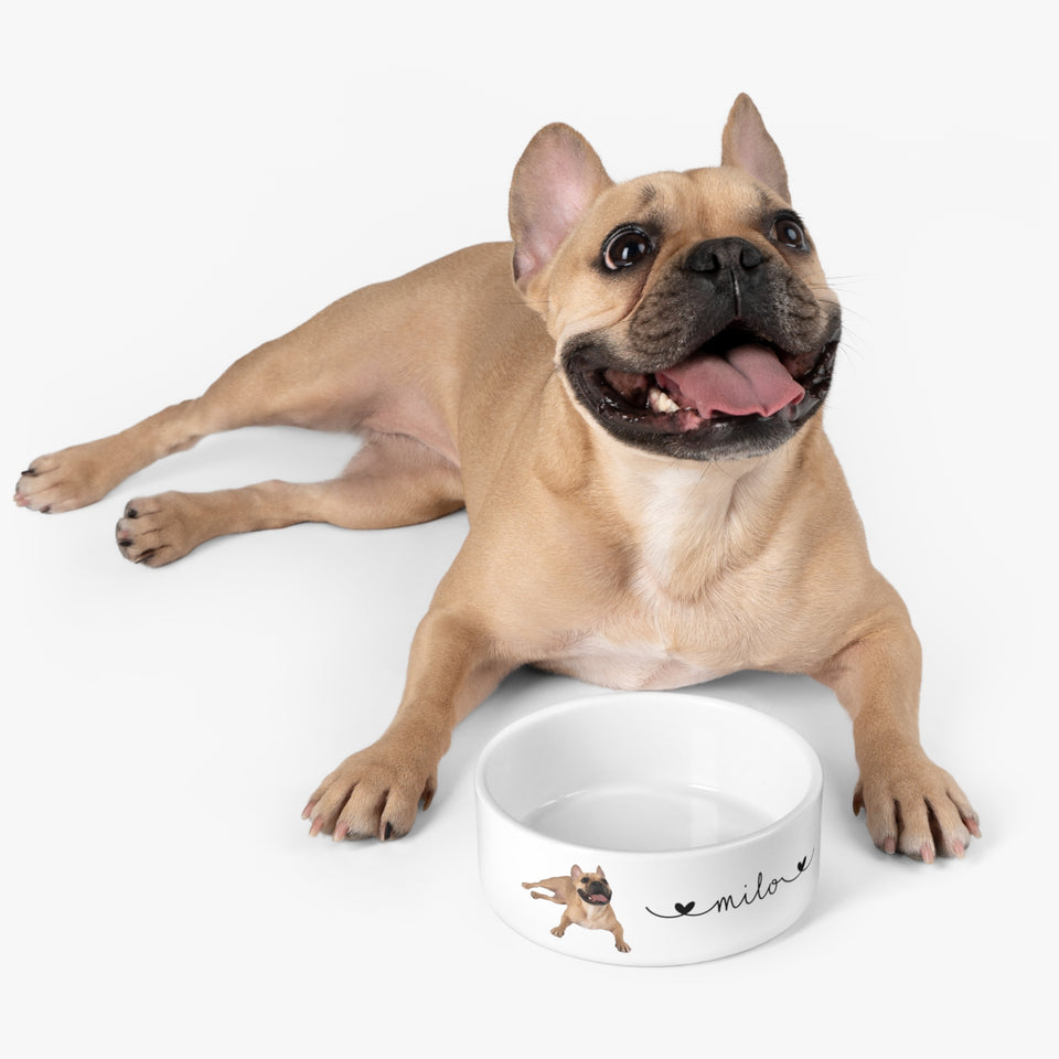 Personalized Dog Bowl, Custom Name Pet Bowl, Ceramic Dog Bowl Set, Food and Water Dish for Cats Dogs, Dog Lovers Gifts