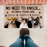 Pet Dog Cat Lovers Gift, Custom Doormat Pet Doormat, Welcome Funny Pet Doormat, Personalized Doormat