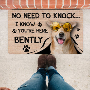 Pet Dog Cat Lovers Gift, Custom Doormat Pet Doormat, Welcome Funny Pet Doormat, Personalized Doormat