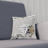 Pet Loss Gift, Dog Sympathy Gifts, Loss Of Pet Gift,Pet Sympathy Gifts, Waiting At The Door Loss Dog Gift Personalized Throw Pillow