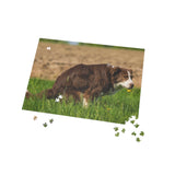Pooping Dogs 252/500 Pieces Dog Puzzles for Adults, Funny Gift Dog Poop Gag Jigsaw Puzzles for Dog Lovers