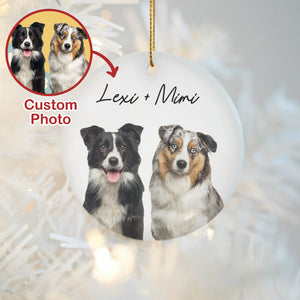 Personalized Pets Painting Effect Ornament, Gifts For Pets Lovers, Pets Christmas Ornament