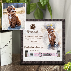 Memorial Pet Collar Frame, Personalized Loss of Dog, Cat Loss Gifts, Pet Collar Holder, Bereavement Gifts