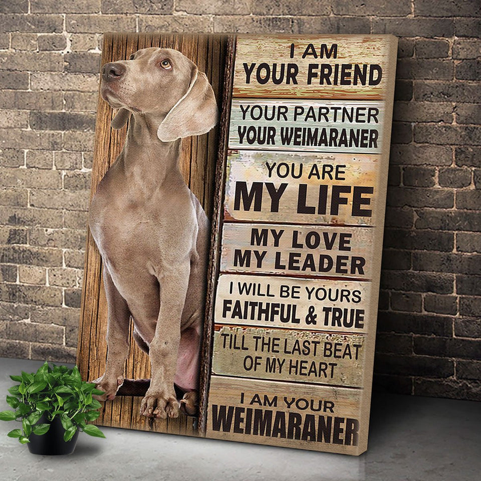 I Am Your Friend Am Your Weimaraner Dog Wall Art Canvas, Dog Mom Dog Dad Gift, Pet Owner Gifts, Custom Dog Portrait Canvas