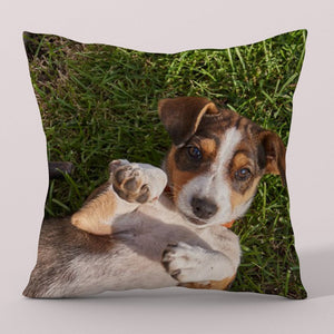 Custom pet cushion , Personalized Dog Pillows, Personalized Cat Pillows, Custom Pet Pillow