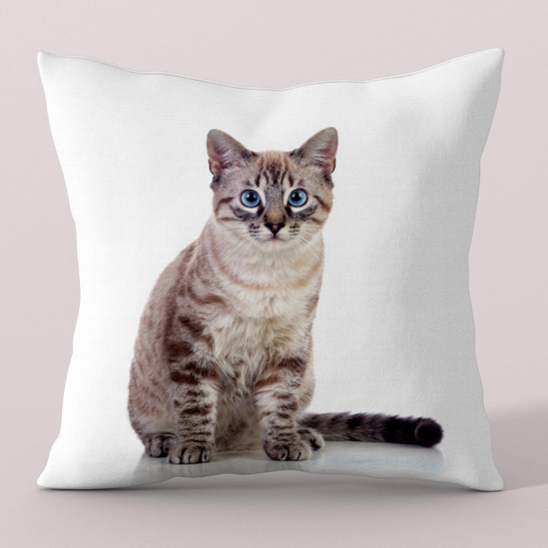 Custom pet cushion , Personalized Dog Pillows, Personalized Cat Pillows, Custom Pet Pillow