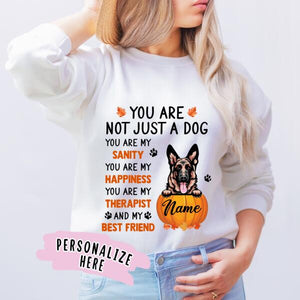 Personalized Fall Season Dog Premium Sweatshirt, Gift For Dog Lovers