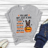 Personalized Fall Season Dog Premium Shirt, Gift For Dog Lovers