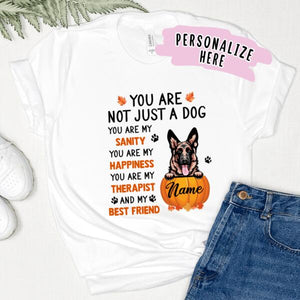 Personalized Fall Season Dog Premium Shirt, Gift For Dog Lovers