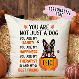 Personalized Fall Dog Premium Pillow, Dog Mom Pillow, Gift For Dog Lovers