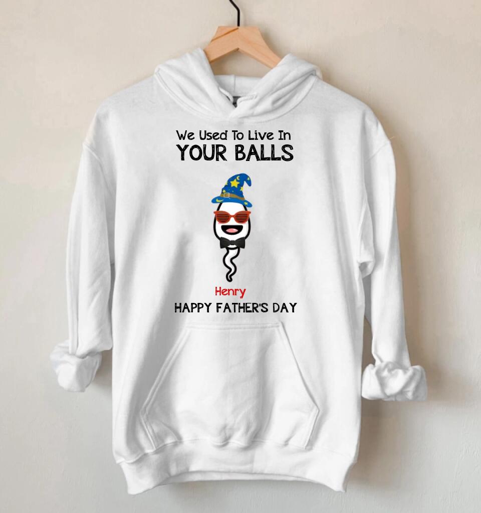 We Use To Live In Your Balls Personalized Father's Day Hoodie, Funny Father's Day Gifts Gifts For Dad, Dad Hoodie