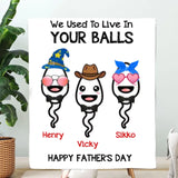 We Use To Live In Your Balls Personalized Father's Day Blanket, Funny Father's Day Gifts For Dad, Dad Blanket