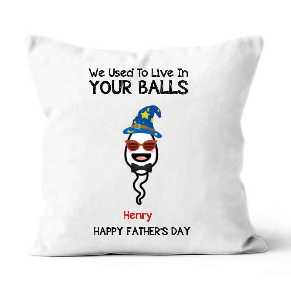 We Use To Live In Your Balls Personalized Father's Day Suede Pillow, Funny Father's Day Gifts Gifts For Dad, Dad Suede Pillow