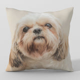 Custom pet cushion , Personalized Dog Pillows, Personalized Cat Pillows, Custom Pet Pillow