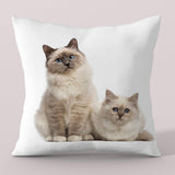 Custom pet cushion , Personalized Dog Pillows, Personalized Cat Pillows, Custom Pet Pillow