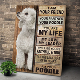 White Poodle Dog Premium Wall Art Canvas, Dog Mom Dog Dad Gift, Pet Owner Gifts, Custom Dog Portrait Canvas