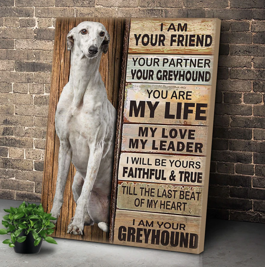 Greyhound Dog Premium Wall Art Canvas, Dog Mom Dog Dad Gift, Pet Owner Gifts, Custom Dog Portrait Canvas