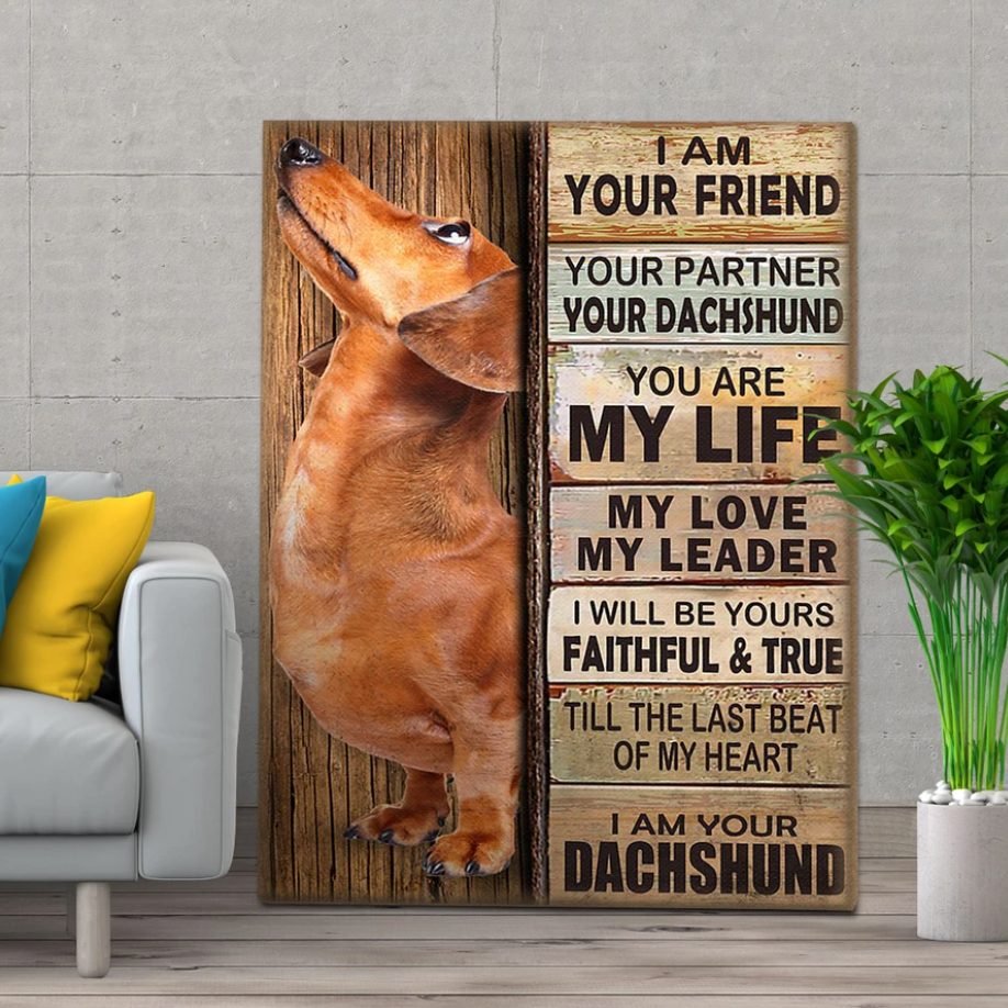 Dachshund Dog Premium Wall Art Canvas, Dog Dad Gift, Pet Owner Gifts, Custom Dog Portrait Canvas