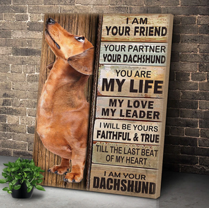 Dachshund Dog Premium Wall Art Canvas, Dog Dad Gift, Pet Owner Gifts, Custom Dog Portrait Canvas