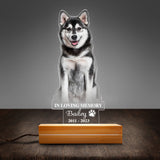 Custom Dog Memorial Passing Gift Pet Loss Gift In Loving Memory Personalized Acrylic Plaque LED Lamp Night Light