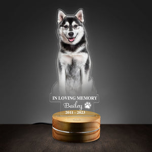 Custom Dog Memorial Passing Gift Pet Loss Gift In Loving Memory Personalized Acrylic Plaque LED Lamp Night Light