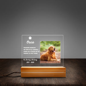 Pet Memorial Bereavement Gift Pet Loss Gift Cat Loss Gift Dog Loss Gift Personalized Acrylic Plaque LED Lamp Night Light