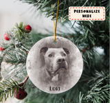 Personalized Pet Photo Ornament Gift, Custom Watercolor Pet Ornament, Pet Memorial For Animal Lovers