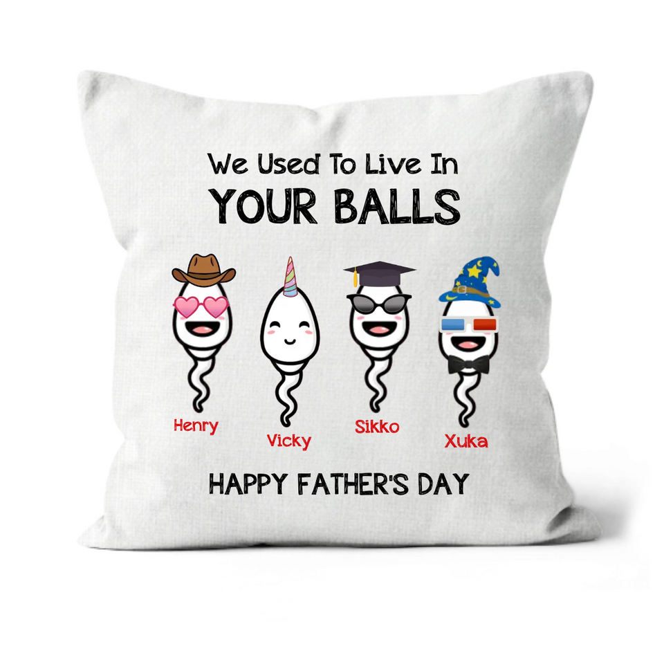 We Use To Live In Your Balls Personalized Father's Day Linen Pillow, Funny Father's Day Gifts Gifts For Dad, Dad Linen Pillow